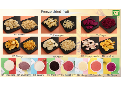 Two ways to choose a suitable container for your freeze-dried products.