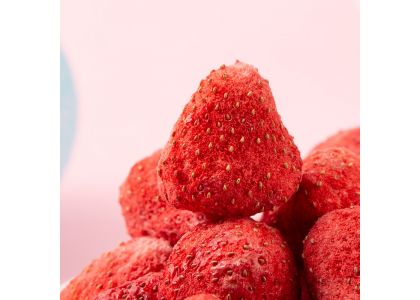 Understanding Freeze-Drying