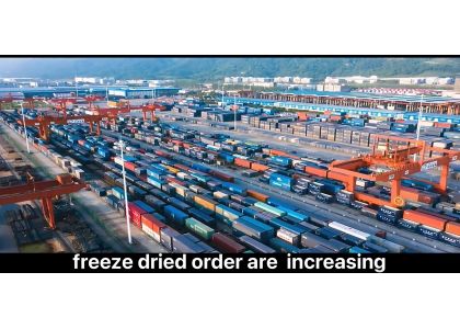 How to Source Freeze-Dried Fruit from China: A Complete Buyer's Guide