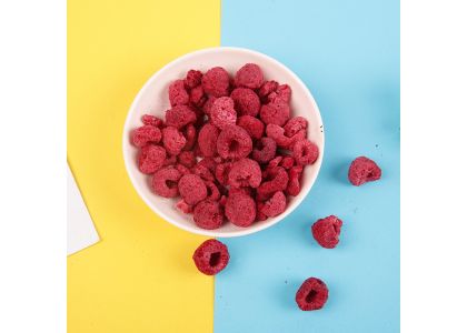 Reliable Private Label Freeze-Dried Pet Food Manufacturer in China