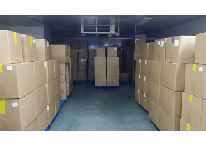 Premium Freeze-Dried Fruit Supplier Expands Bulk Export Capacity